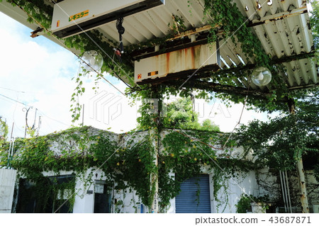 Out-of-business gas stations that are becoming jungle 43687871