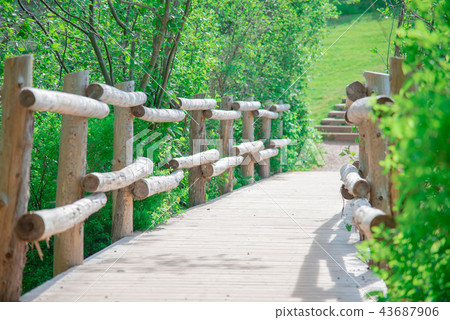 愛德華王子島美麗的風景〜安妮的紅發世界通往綠山牆的道路〜 愛德華王子島美麗的風景〜安妮的紅發世界通往綠山牆的道路〜 43687906