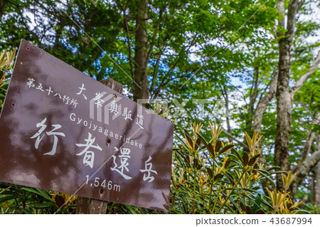演員們也一次回過頭去，在山岳嶽山頂（奈良縣吉野郡天man川村）*拍攝地點在作品的評論欄中。 43687994