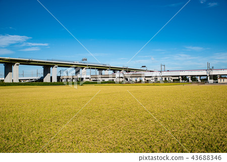 Tohoku Shinkansen that crosses the Chuo-do Road A field that can be cultivated 2012.09 a 43688346
