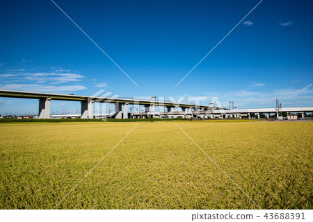 Tohoku Shinkansen that crosses the Chuo-do Road A field that can be cultivated 2012.09 d Wide-angle without train 43688391