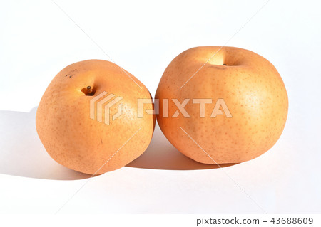 Asago pear 43688609