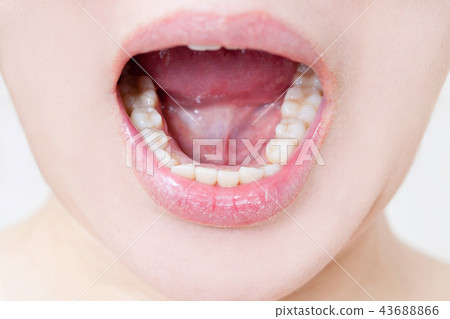 女牙 43688866