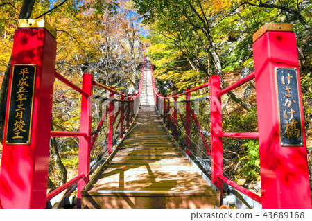 Autumn leaves and kesakake bridge 43689168