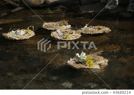 Mizuki Nose 43689214