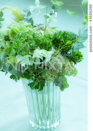Green bouquets, green bouquets, beautiful green bouquets, bouquets and vases, seasonal bouquets, summer bouquets, greens, flowers Green bouquets, green bouquets, beautiful green bouquets, bouquets and vases, seasonal bouquets, summer bouquets, greens, flowers 43689266
