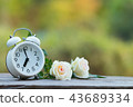 Red heart shape in shopping cart and white clock 43689334