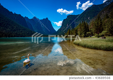 Lake Dobbiaco in the Dolomites, Italy Lake Dobbiaco in the Dolomites, Italy 43689508