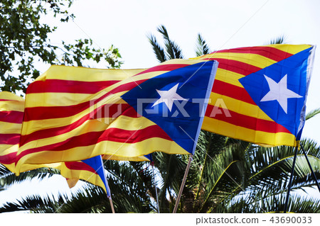 some estelada, the catalan pro-independence flag, against the sk 43690033