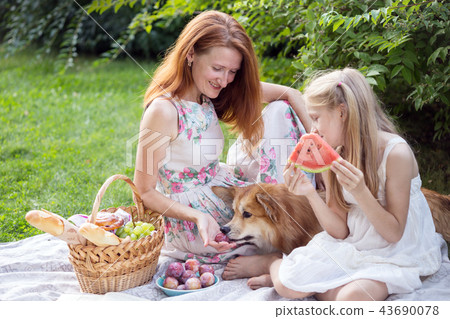 happy family at a picnic 43690078