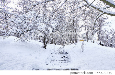 Stairs in winter park covered with snow. 43690250