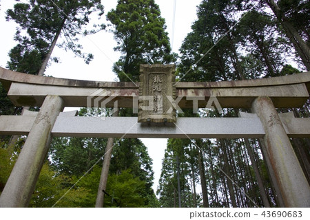 Sarumaru Shrine Torii（京都） 43690683