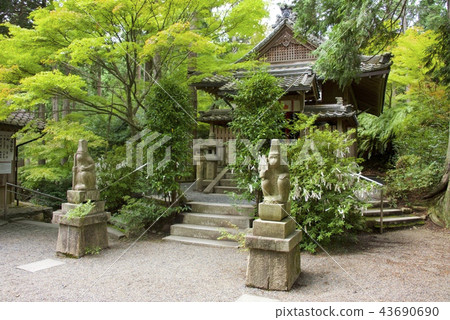 The main shrine of Sarumaru Shrine and a stone statue of a monkey (Kyoto Prefecture) 43690690
