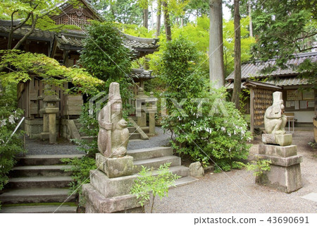 Sarumaru神社的主要神殿和猴子的石像（京都府） 43690691