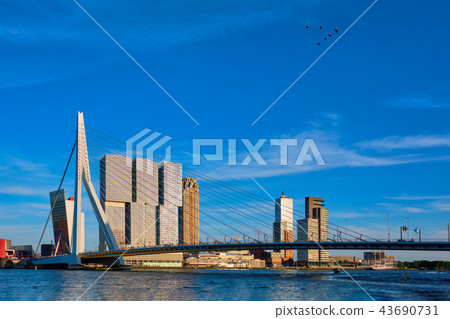 Rotterdam cityscape , Netherlands Rotterdam cityscape , Netherlands 43690731