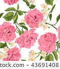 Seamless pattern with roses.  43691408