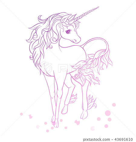 Unicorn. Vector illustration.  43691610