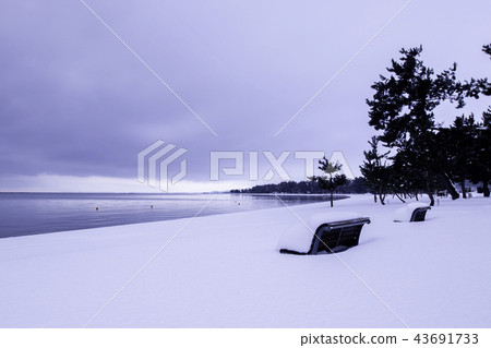 琵琶湖的冬天視圖採取在滋賀縣高島市的今津町 琵琶湖的冬天視圖採取在滋賀縣高島市的今津町 43691733