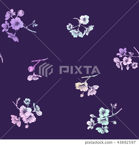 Seamless pattern, background with blooming cherry japanese sakura 43692597