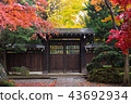 Niiza City-Hirabayashi Temple- 43692934