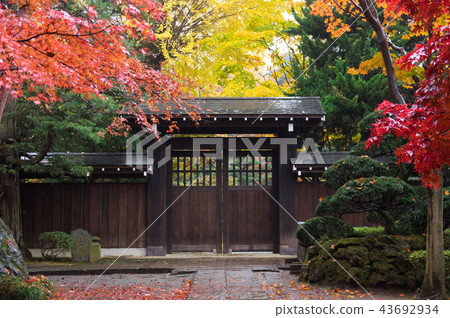 Niiza City-Hirabayashi Temple- 43692934
