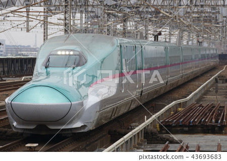 Tohoku Shinkansen Series E5 (single) 43693683