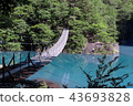 Suspension bridge of a dream 43693828