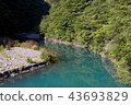 River flow 43693829