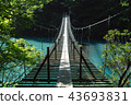 Suspension bridge of a dream 43693831