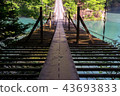 Suspension bridge of a dream 43693833