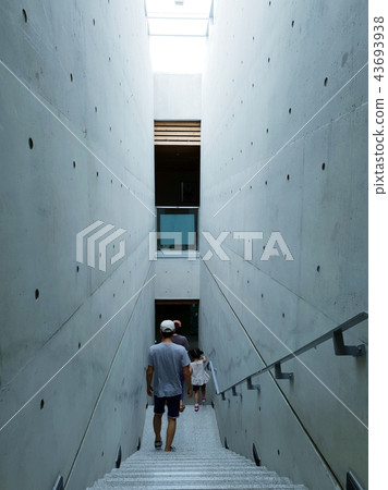 Interior design Architectural stairway Natural lighting Interior design Architectural stairway Natural lighting 43693938