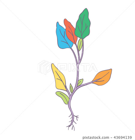 Flower_color 2 43694139