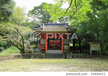 City Hino Shrine 43694411