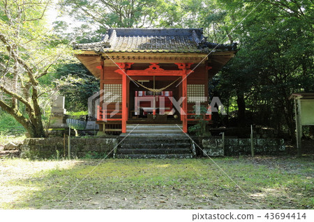 City Hino Shrine 43694414