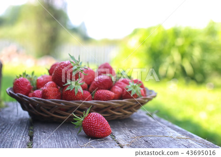 Strawberry on rustic wooden background 43695016
