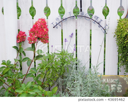 White fence and cute flower bed 43695462