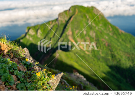 Takayama Plant and Mt. Amida From Yatsugatake Takayama Plant and Mt. Amida From Yatsugatake 43695749