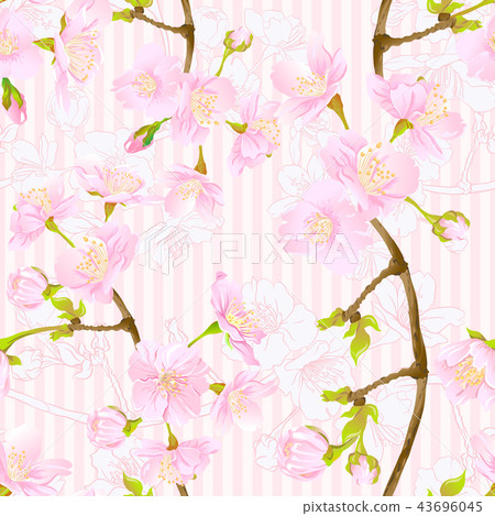 Seamless pattern, background with blooming cherry japanese sakura Seamless pattern, background with blooming cherry japanese sakura 43696045