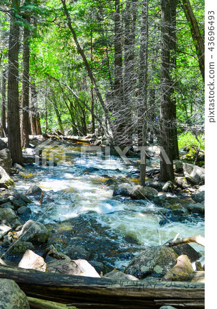 Yosemite National Park Yosemite National Park 43696493