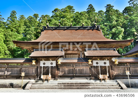Kumano main shrine 43696506