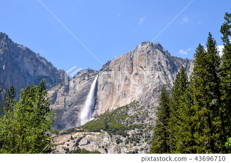 Yosemite National Park Yosemite Falls Yosemite National Park Yosemite Falls 43696710