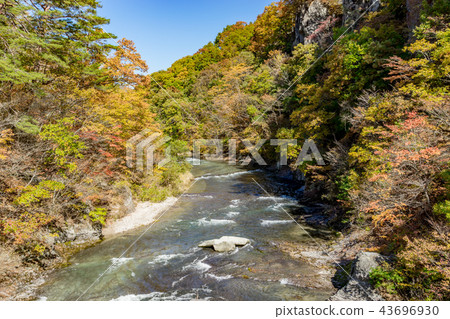 [群馬]伏木原谷 43696930