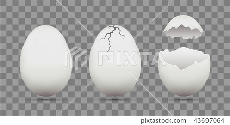 Set of white chicken eggs. Shell with cracks. 43697064