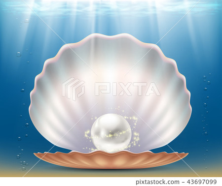 Open beautiful seashell with a precious pearl. Open beautiful seashell with a precious pearl. 43697099