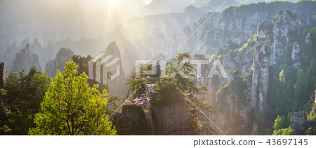 Zhangjiajie mountains, China 43697145