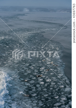鄂霍次克海的浮冰 43697763