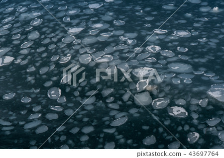 鄂霍次克海的浮冰 43697764