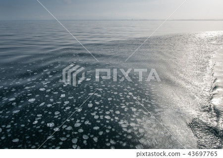 鄂霍次克海的浮冰 鄂霍次克海的浮冰 43697765