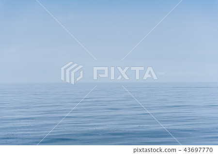 Ice floes in the Sea of Okhotsk Ice floes in the Sea of Okhotsk 43697770