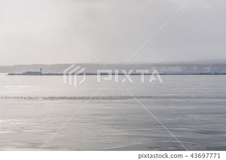 Ice floes in the Sea of Okhotsk 43697771